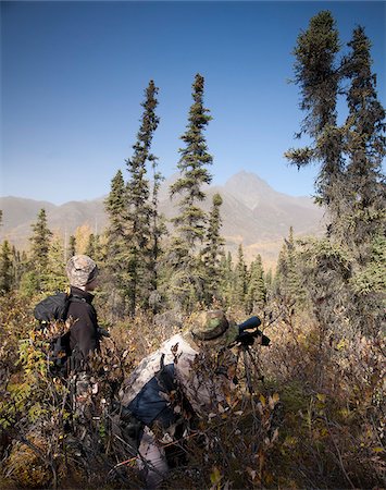 Male bow hunter and son use a spotting scope to look for moose while hunting, Eklutna Lake area, Chugach State Park, Southcentral Alaska, Autumn Stock Photo - Rights-Managed, Code: 854-03844996