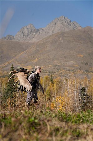 Male bow hunter carries a 54" moose antler rack on his backpack as he hikes out of hunt area, Eklutna Lake area, Chugach State Park, Southcentral Alaska, Autumn Stock Photo - Rights-Managed, Code: 854-03845028