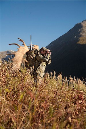 simsearch:400-08348524,k - Male moose hunter stops to glass the area with binoculars as he hikes out of hunt area with trophy moose antler on his pack, Bird Creek drainage area, Chugach Mountains, Chugach National Forest, Southcentral Alaska, Autumn Stock Photo - Rights-Managed, Code: 854-03845068