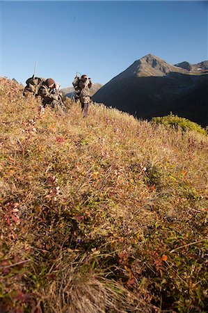 simsearch:400-08348524,k - Two male moose hunters stop to glass the area with binoculars as they hike out of hunt area with trophy moose antlers on their packs, Bird Creek drainage area, Chugach Mountains, Chugach National Forest, Southcentral Alaska, Autumn Stock Photo - Rights-Managed, Code: 854-03845072