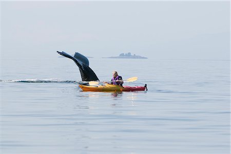 female scuba diver - Humpback whale surfaces near a woman sea kayaking in Frederick Sound, Inside Passage, Southeast Alaska, Summer Stock Photo - Rights-Managed, Code: 854-03845309