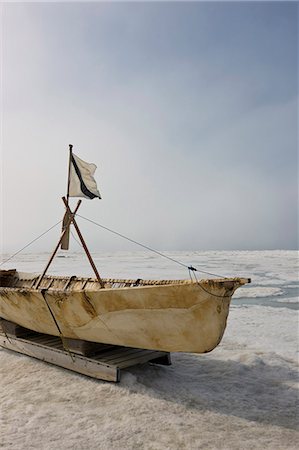 Inupiaq Eskimo Skin Boat (Umiaq) made from bearded seal skin resting on the shore ice of the Chukchi Sea off shore of Barrow, Arctic Alaska, Summer Stock Photo - Rights-Managed, Code: 854-03845479