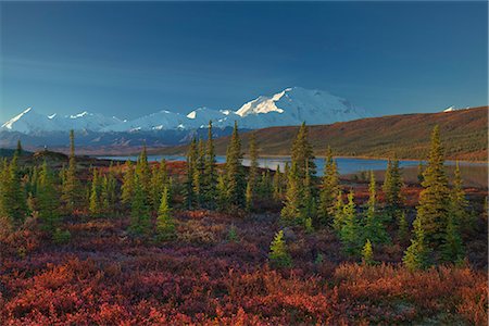 Scenic landscape of Mt. McKinley and Wonder lake in the morning, Denali National Park, Interior Alaska, Autumn. HDR Stock Photo - Rights-Managed, Code: 854-03845618