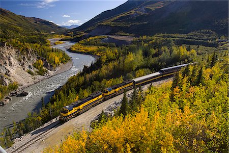 Alaska Railroad passenger train travels along the Nenana River before crossing under the Parks Highway near Mile 246, Interior Alaska, Fall Stock Photo - Rights-Managed, Code: 854-03845707