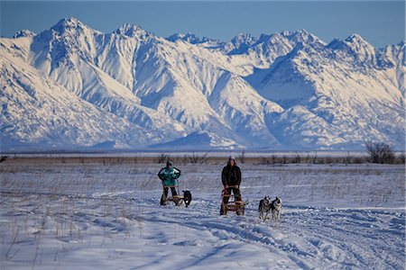simsearch:854-03846022,k - Two recreational dog mushers mushing near Wasilla with Chugach Mountains in the background, Mat-Su Valley, Southcentral Alaska, Winter Stock Photo - Rights-Managed, Code: 854-03845841