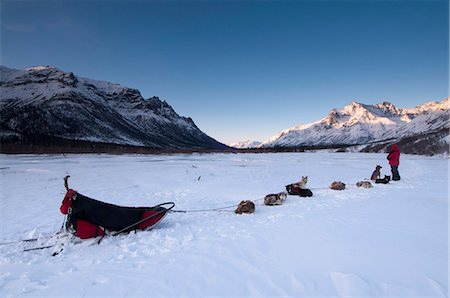 sun dogs - National Park Ranger rests with his dog team on the North Fork of the Koyukuk River at sunset with the Gates of the Arctic in the background, Brooks Range, Arctic Alaska, Winter Foto de stock - Con derechos protegidos, Código: 854-03846014