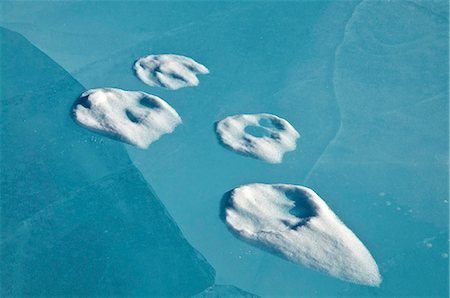 Wolf prints in snow on the blue ice of the frozen North Fork of the Koyukuk River in Gates of the Arctic National Park & Preserve, Arctic Alaska, Winter Stock Photo - Rights-Managed, Code: 854-03846059