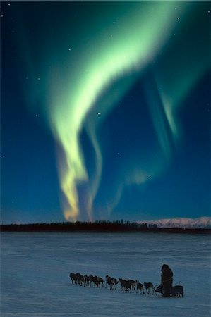 simsearch:854-03846021,k - Scenic view of musher with Northern Lights overhead Alaska, Winter. COMPOSITE Stock Photo - Rights-Managed, Code: 854-03846141