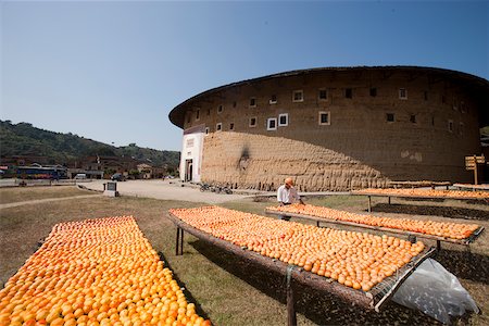 simsearch:855-05981752,k - Making dried persimmons at courtyard of Tulou Chengqilou, Gaobei village, Yongding, Fujian, China Stock Photo - Rights-Managed, Code: 855-05981798