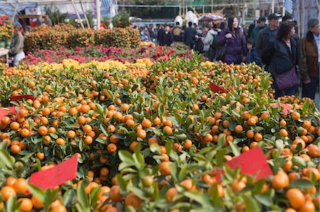 Chinese new year flower market, Tsuen Wan, Hong Kong Stock Photo - Rights-Managed, Code: 855-06314057
