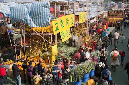 Chinese new year flower market, Tsuen Wan, Hong Kong Stock Photo - Rights-Managed, Code: 855-06314062