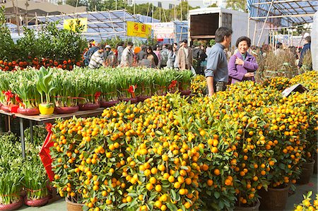 Chinese new year flower market, Tsuen Wan, Hong Kong Stock Photo - Rights-Managed, Code: 855-06314102