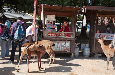 Approach to Daikegon-ji (Todaiji temple), Nara, Japan Stock Photo - Rights-Managed, Code: 855-06337501