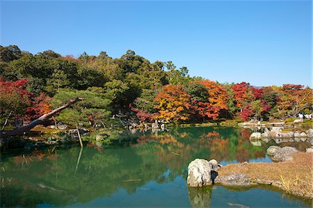 Sougen-ike pond, Japanese garden of Tenryu-ji Temple, Sagano-Arashiyama in autumn, Kyoto, Japan Stock Photo - Rights-Managed, Code: 855-06338363