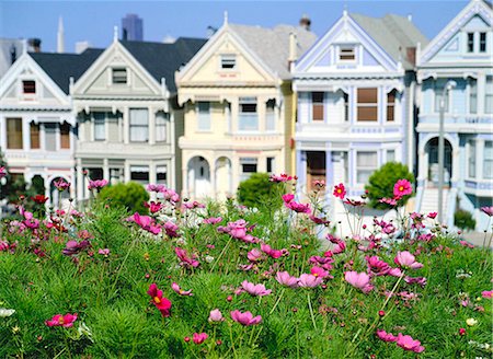 simsearch:841-06031845,k - Victorian House, alamo Square, San Francisco Stock Photo - Rights-Managed, Code: 855-02988161