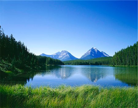 Leech Lake, Jasper National Park, Canada Foto de stock - Con derechos protegidos, Código: 855-03255033