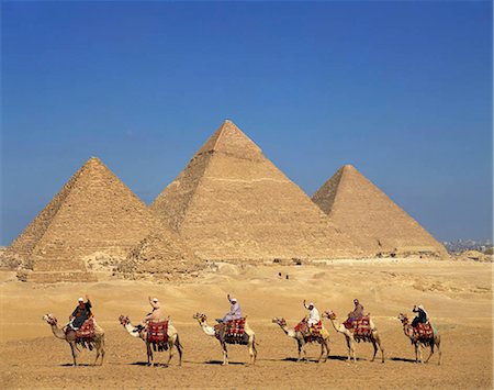 egypt - Pyramid and caravan camel, Egypt Stock Photo - Rights-Managed, Code: 855-03255159