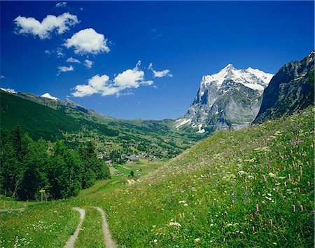 Mont Cervin, Grindelwald, Suisse Photographie de stock - Rights-Managed, Code: 855-03255201