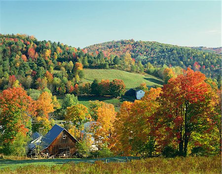 New England in Autumn, Vermont, USA Stock Photo - Rights-Managed, Code: 855-03255228