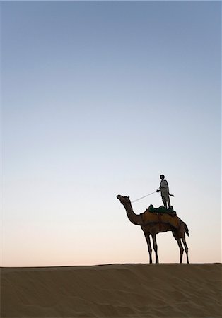 simsearch:857-03553523,k - Man standing on a camel, Jaisalmer, Rajasthan, India Stock Photo - Rights-Managed, Code: 857-03192626