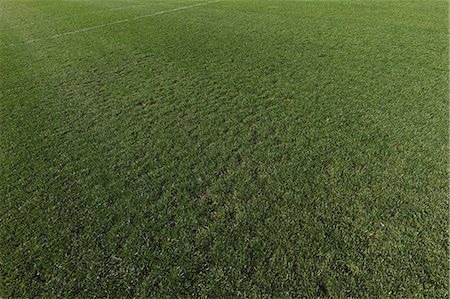 soccer pitch - Football Field Stock Photo - Rights-Managed, Code: 858-06756253