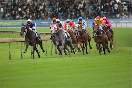 race horse - Horserace Stock Photo - Rights-Managed, Code: 858-03049255