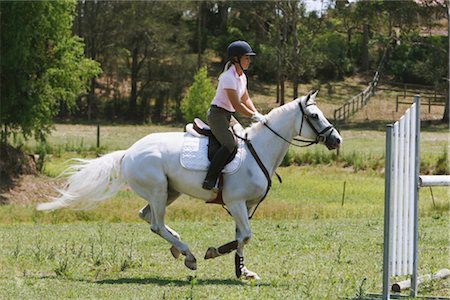 simsearch:858-03050485,k - Young horsewoman ready to jump Stock Photo - Rights-Managed, Code: 858-03049398