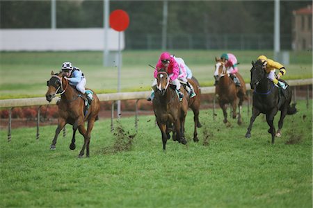 Group of horses racing Stock Photo - Rights-Managed, Code: 858-03049436