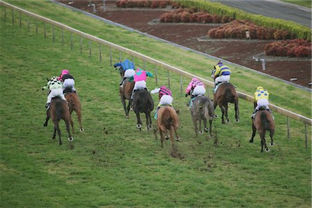 Group of horses racing Stock Photo - Rights-Managed, Code: 858-03049437