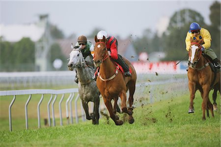 Group of horses racing Stock Photo - Rights-Managed, Code: 858-03049443
