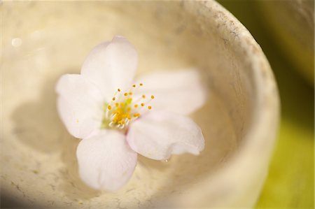 Japanese Sake With Cherry Blossom Stock Photo - Rights-Managed, Code: 859-06380134