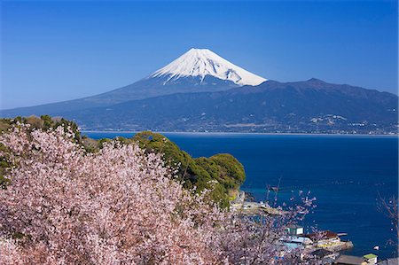 simsearch:859-06380159,k - Mount Fuji And Cherry Blossoms, Shizuoka Prefecture, Japan Stock Photo - Rights-Managed, Code: 859-06380158