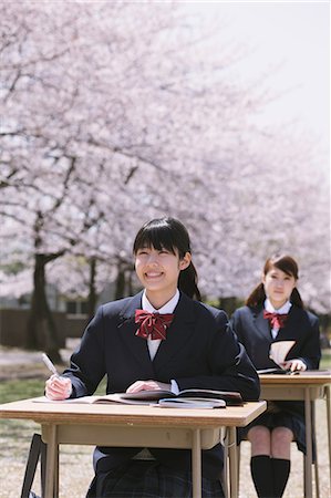 simsearch:859-06380209,k - High School Girls Studying Under A Cherry Tree Stock Photo - Rights-Managed, Code: 859-06380218