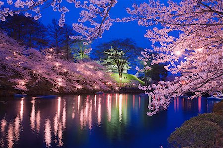 Yozakura,Takada Castle, Niigata Prefecture, Japan Stock Photo - Rights-Managed, Code: 859-06380335