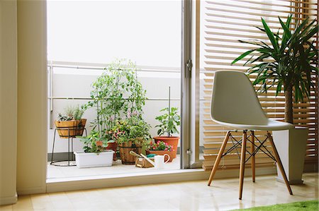 pot light - Potted plants on a balcony seen from the living room Stock Photo - Rights-Managed, Code: 859-06469736