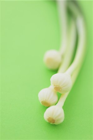 simsearch:700-06334366,k - Green onions on green background Stock Photo - Rights-Managed, Code: 859-06470266