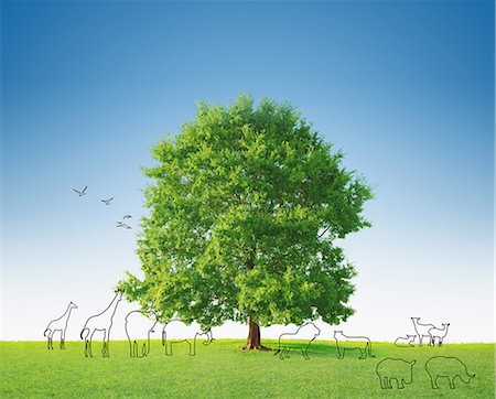 eco illustration - Tree And Animals Stock Photo - Rights-Managed, Code: 859-06617421