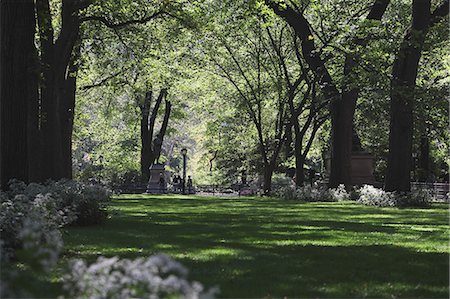 Central Park in New York, USA Stock Photo - Rights-Managed, Code: 859-06710866