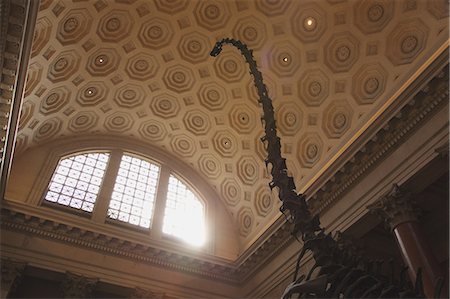 dinosaur - American Museum of Natural History interior, New York Stock Photo - Rights-Managed, Code: 859-06710873