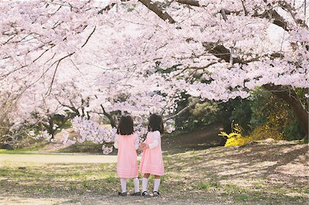 Female twins playing with cherry blossoms Stock Photo - Rights-Managed, Code: 859-06808368