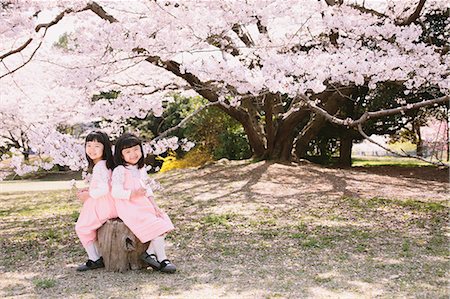 Female twins sitting under a cherry tree Stock Photo - Rights-Managed, Code: 859-06808443