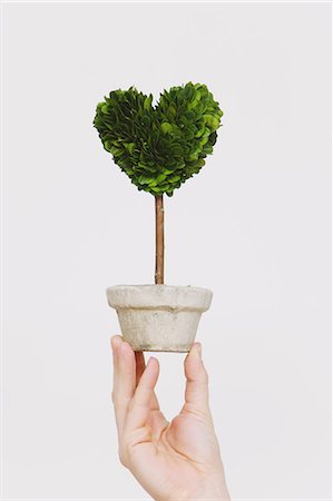 simsearch:859-06808649,k - Hand holding heart-shaped plant Stock Photo - Rights-Managed, Code: 859-06808635