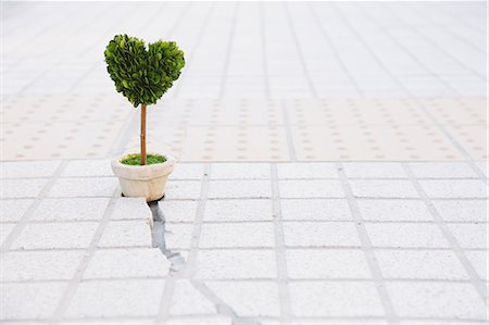 resuscitation - Heart-shaped plant and cracked floor Stock Photo - Rights-Managed, Code: 859-06808680