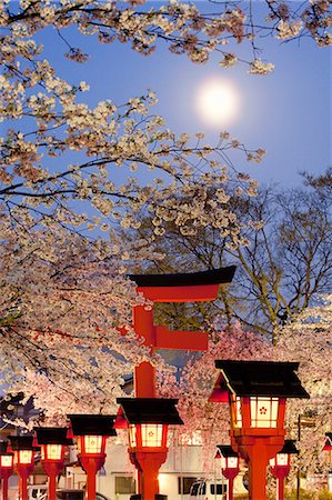 Hirano Shrine, Kyoto, Japan Stock Photo - Rights-Managed, Code: 859-07149481