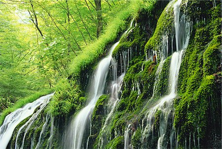 spring (body of water) - Shiramizu Falls, Gunma, Japan Stock Photo - Rights-Managed, Code: 859-07149728