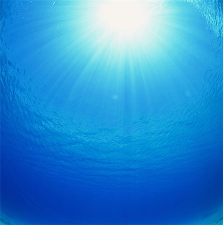 rays - Indian Ocean Foto de stock - Con derechos protegidos, Código: 859-07150279