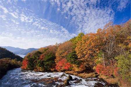 simsearch:859-07283230,k - Ryuzu Falls in Autumn, Tochigi, Japan Stock Photo - Rights-Managed, Code: 859-07150344
