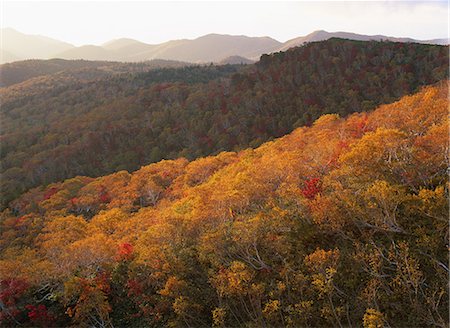 simsearch:859-07566201,k - Shiretoko Gap, Hokkaido, Japan Stock Photo - Rights-Managed, Code: 859-07150498