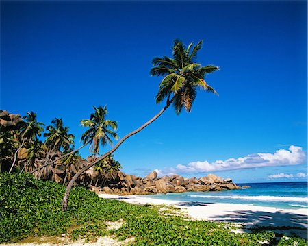 simsearch:859-07284165,k - Seychelles Stock Photo - Rights-Managed, Code: 859-07284150