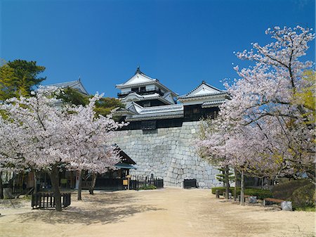 simsearch:400-05044143,k - Matsuyama Castle, Ehime, Japan Stock Photo - Rights-Managed, Code: 859-07284212